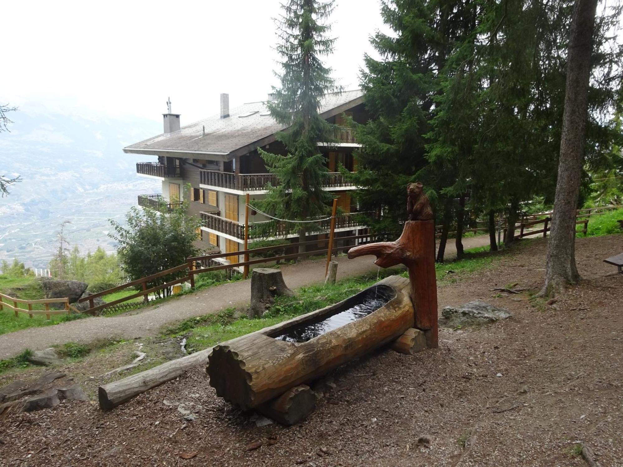 The White Fox'S Family Home - فييسوناز المظهر الخارجي الصورة